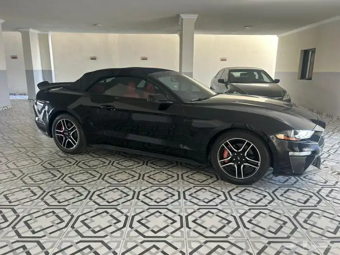 فورد موستنج مستورد 2018 - 4 سلندر ايكو بوست 19