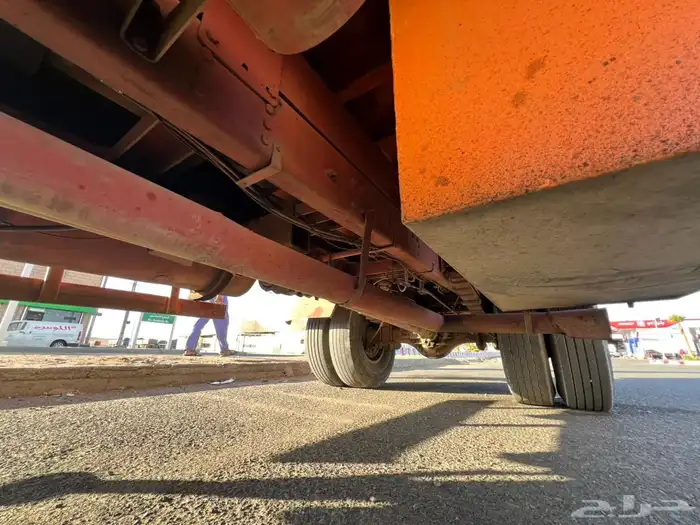 دينا لوري افلكو 3