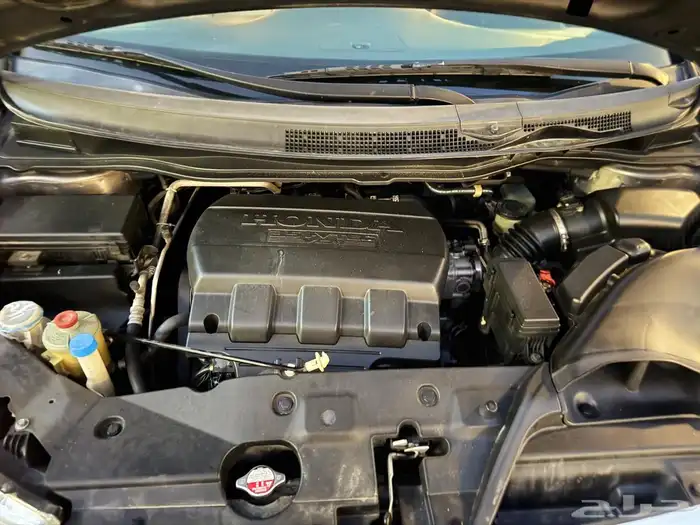 للبي هواند اوديسي 2013 19