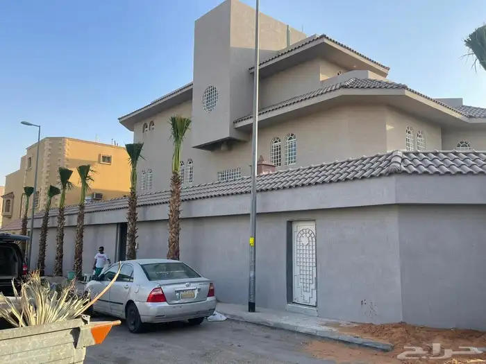 نخيل واشنطونيا للبيع 5