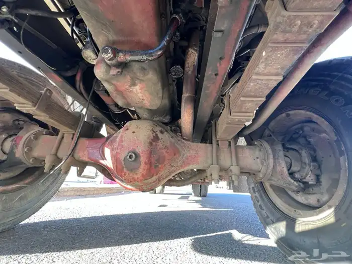 دينا لوري افلكو 10