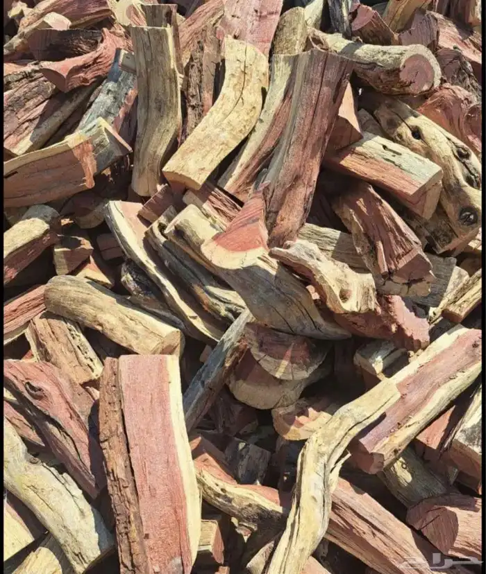 حطب سمر شلايخ 1