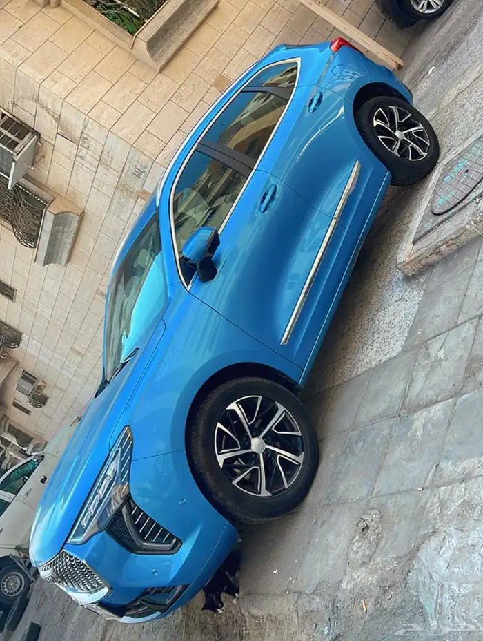 ع الشرط جوليان فل بانوراما بحاله الوكاله 0