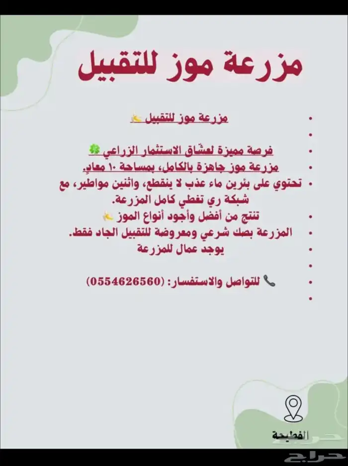 مزراعة موز للتقبيل 6