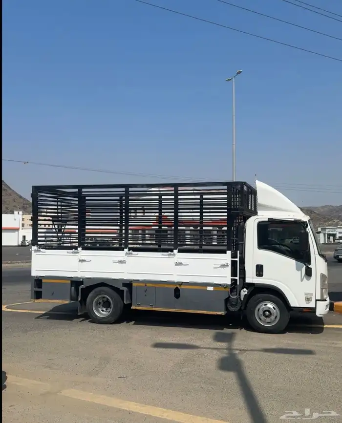 دينة متواجد في محايل 0