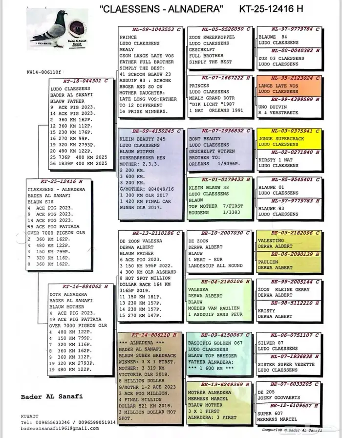 حمام زاجل سباق 3