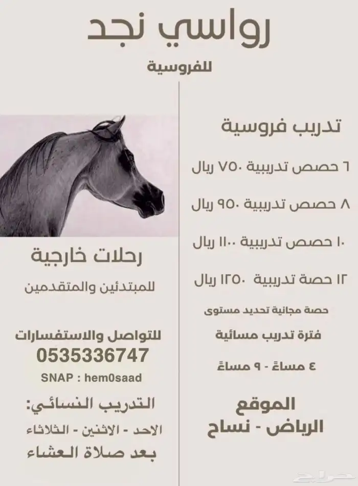 تدريب ركوب خيل - مربط رواسي نجد للفروسية 0