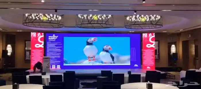 تأجير شاشات عرض عملاقة 7