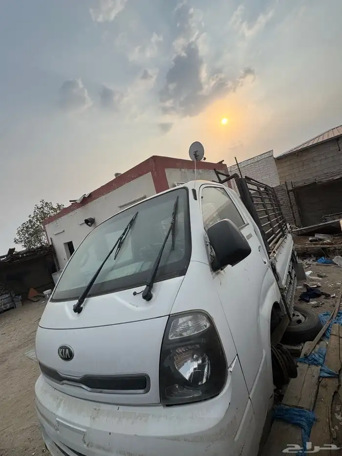 دينا كيا تشليح 4