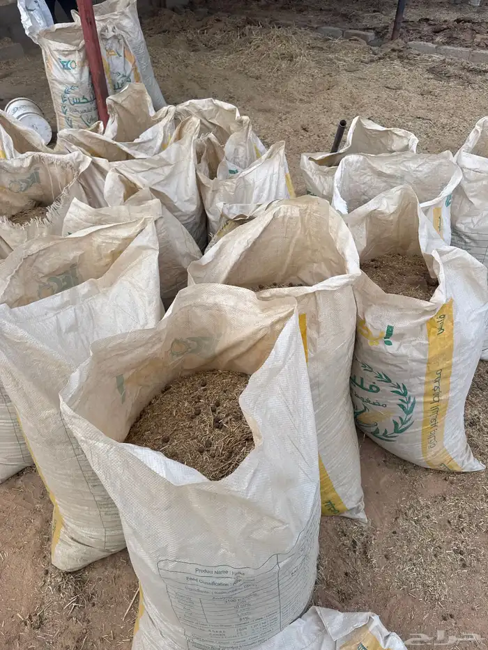 متىوفر قرابه 50 كيس سماد غنم 0