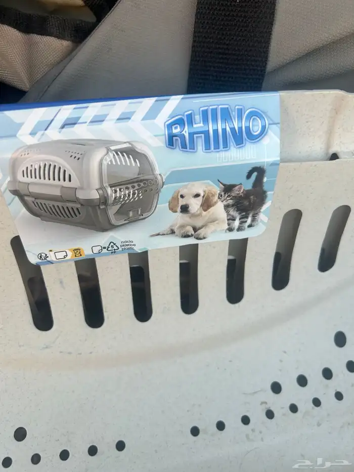 اكل رطب للقطط 2