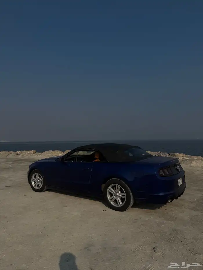 موستنق كشف 1