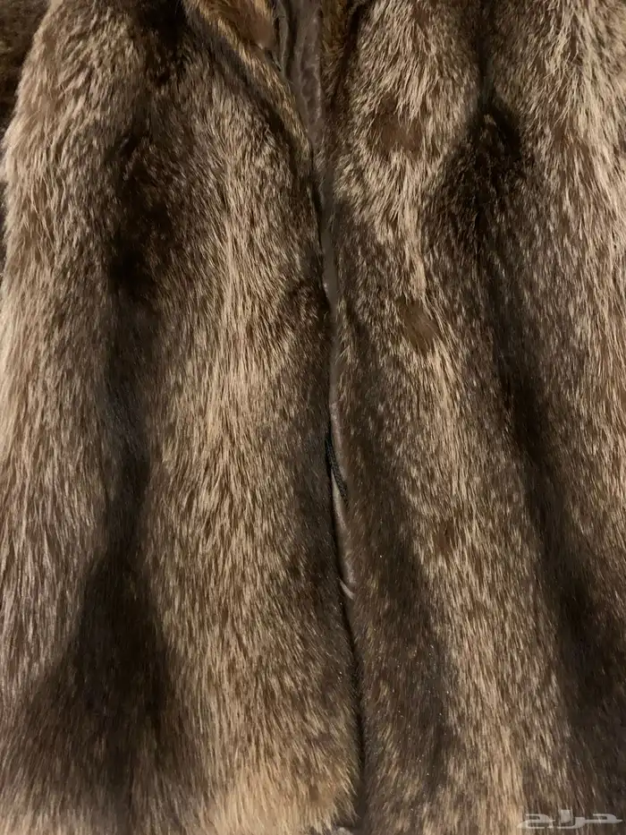 جكيت رجالي فرو ذيب صناعة يدوي 1