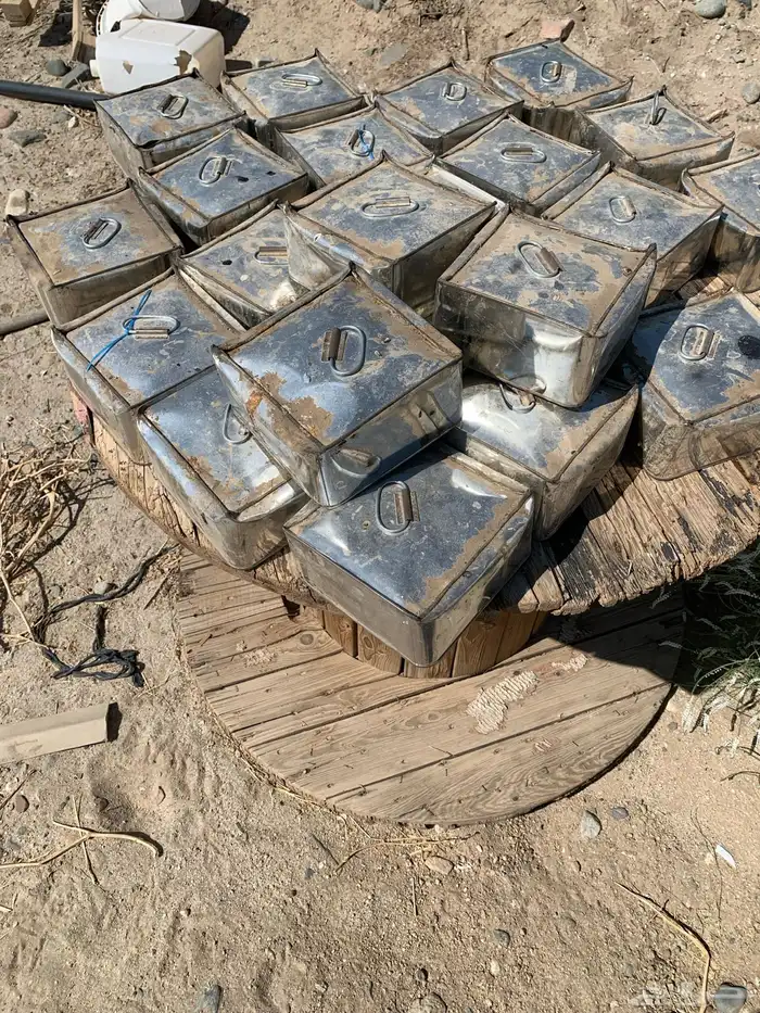 تنك وكراتين عامي 0