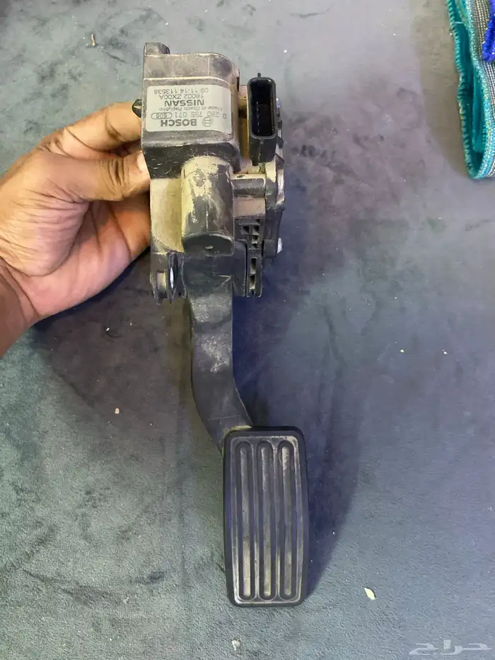 التيما نيسان 2010 1