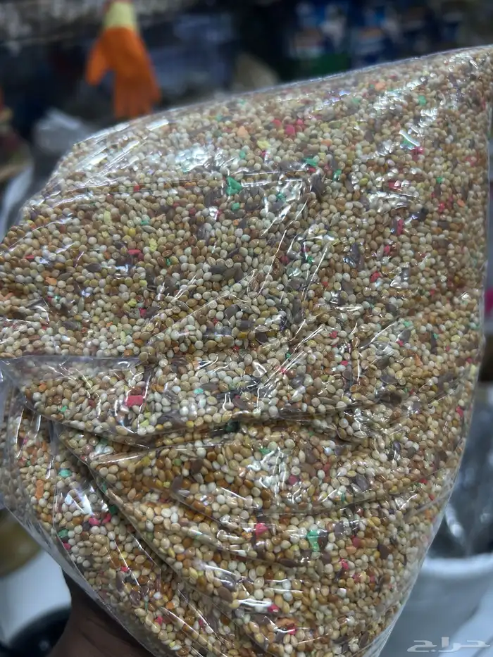 اكل كروان وبادجي 1