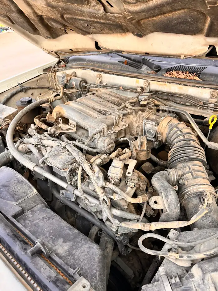 باثفندر 2004 8