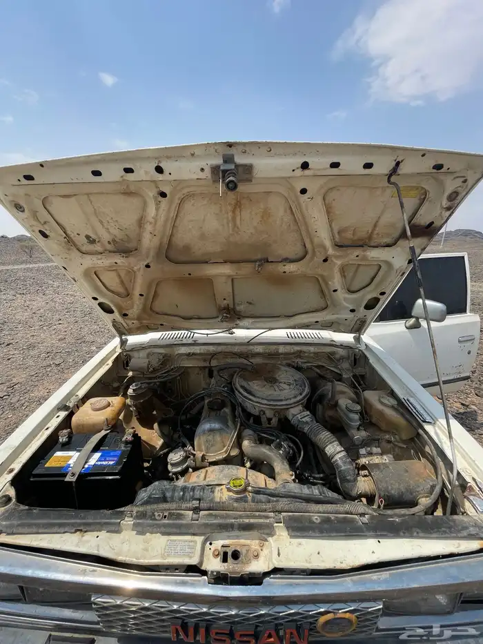 ددسن 85 غمارتين 5