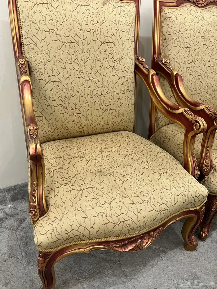 كنبتين مفردة 1