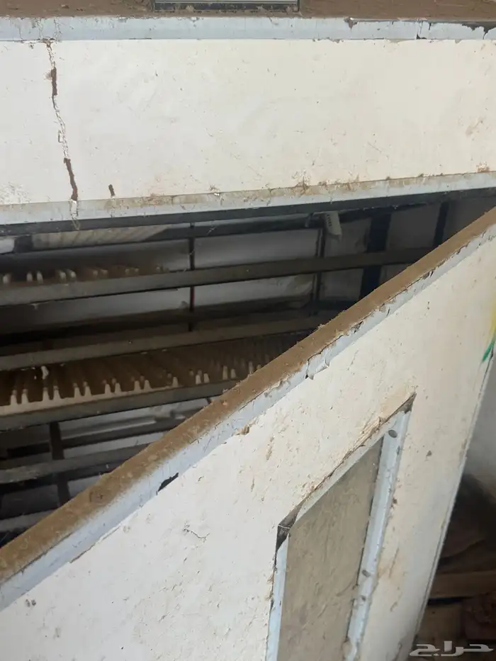 فقاسة - نتافه 2