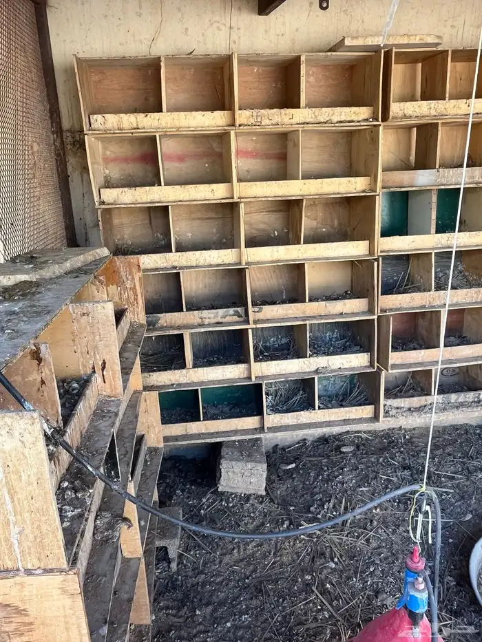 مخافق حمام خشب وبراميل 0