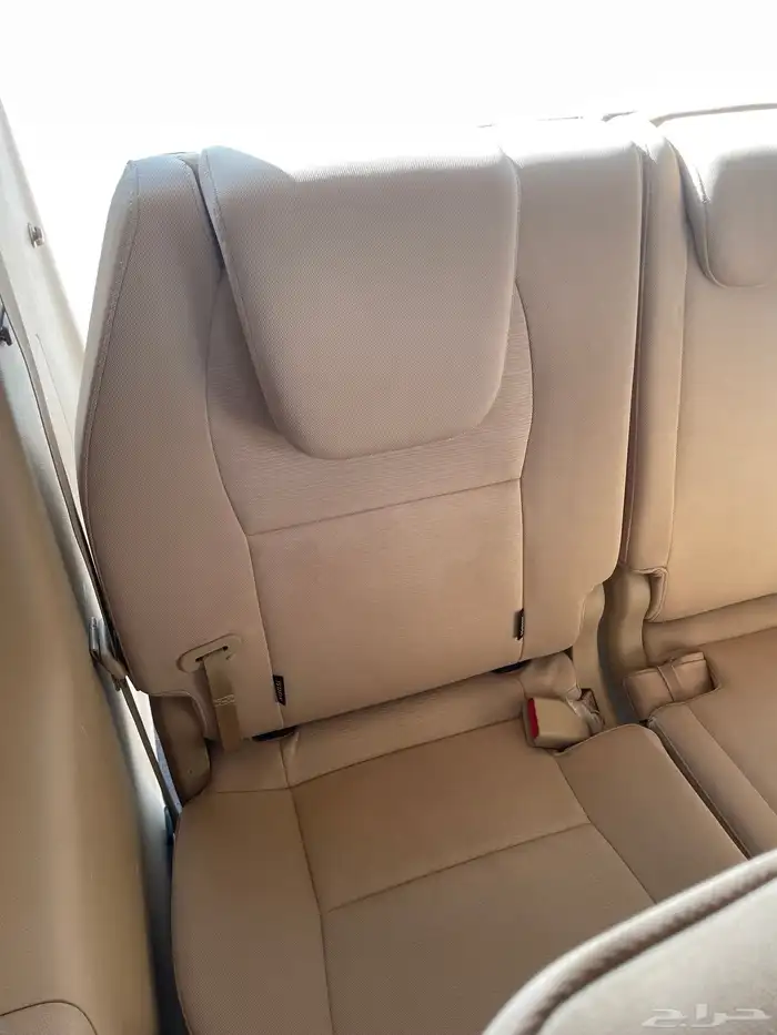 كرنفال 2016 26