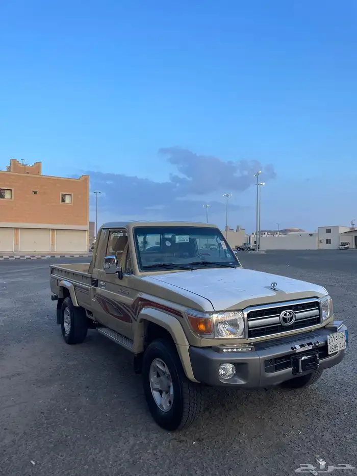 شاص 2013 رفرف بريمي 3