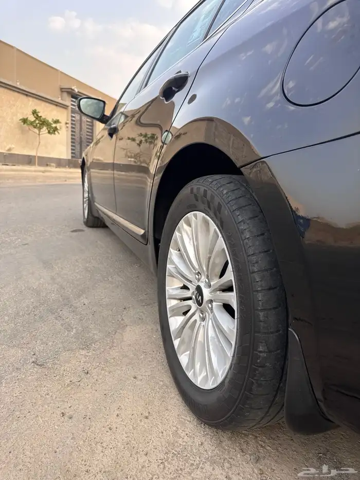 كادينزا 2015 25