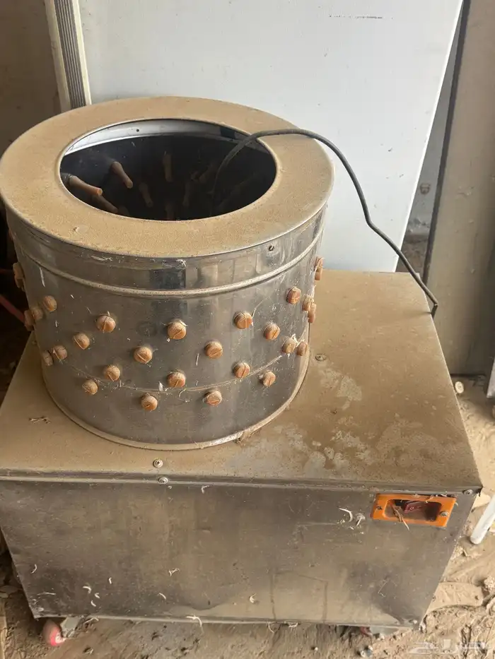 فقاسة - نتافه 0