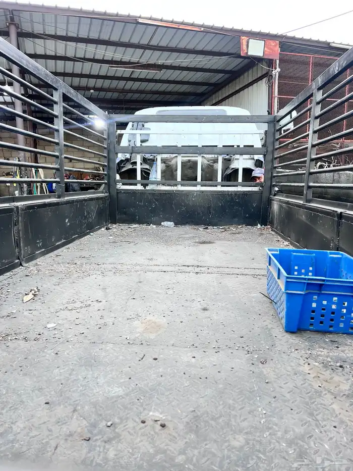 دينا ميتسوبيشي 2001 وسطحه ميتسوبيشي 2001 1