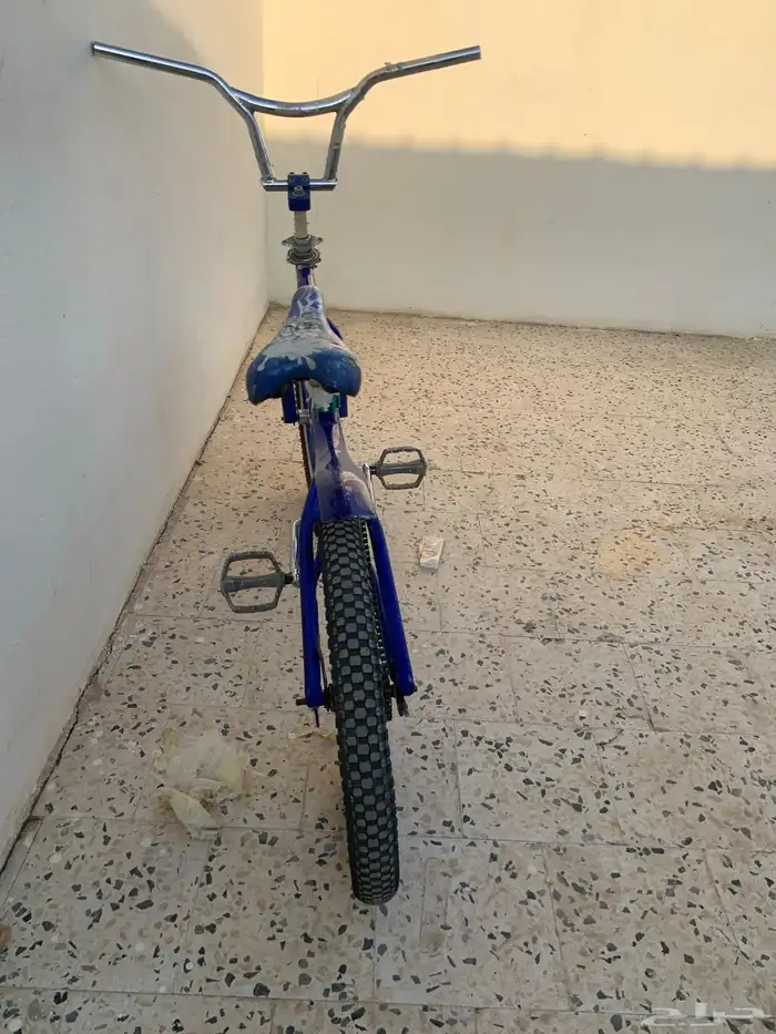 سيكل كوبرا بس يبغاله شد جنزير 0