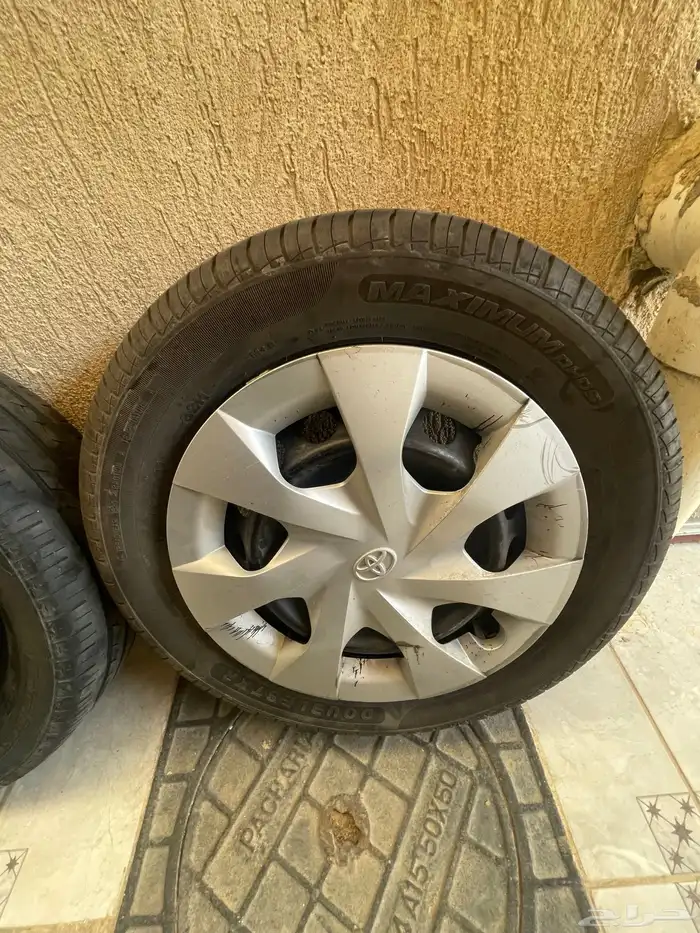 جنوط سوح يارس 2018 مع الطيس 2