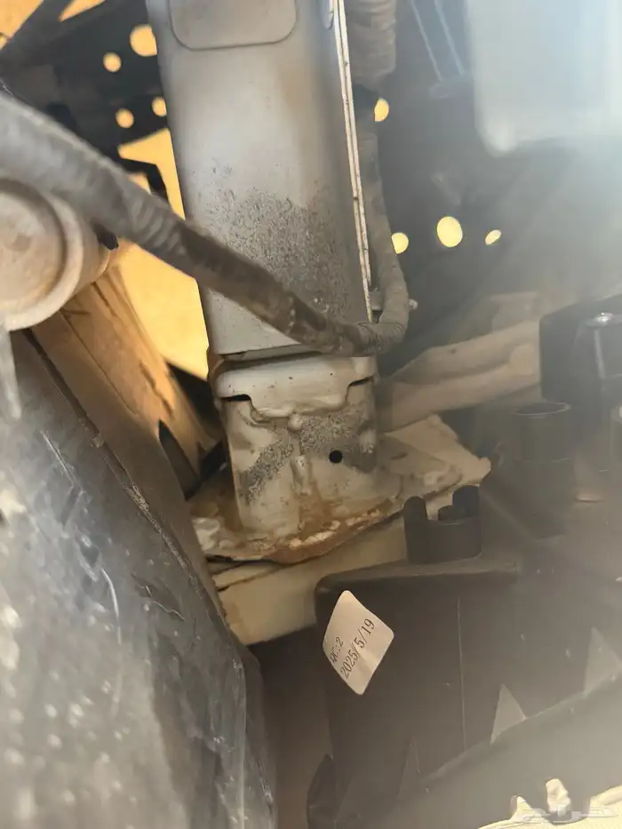 للبيع صني 2020 15