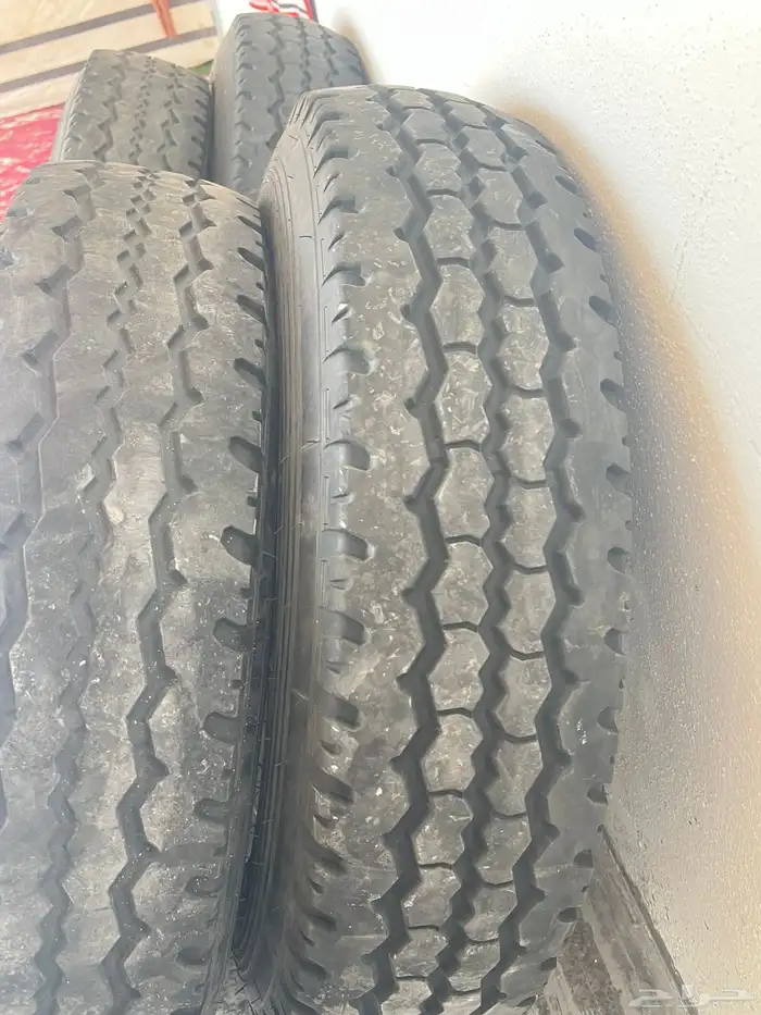 كفرات وجنوط شنبر 3