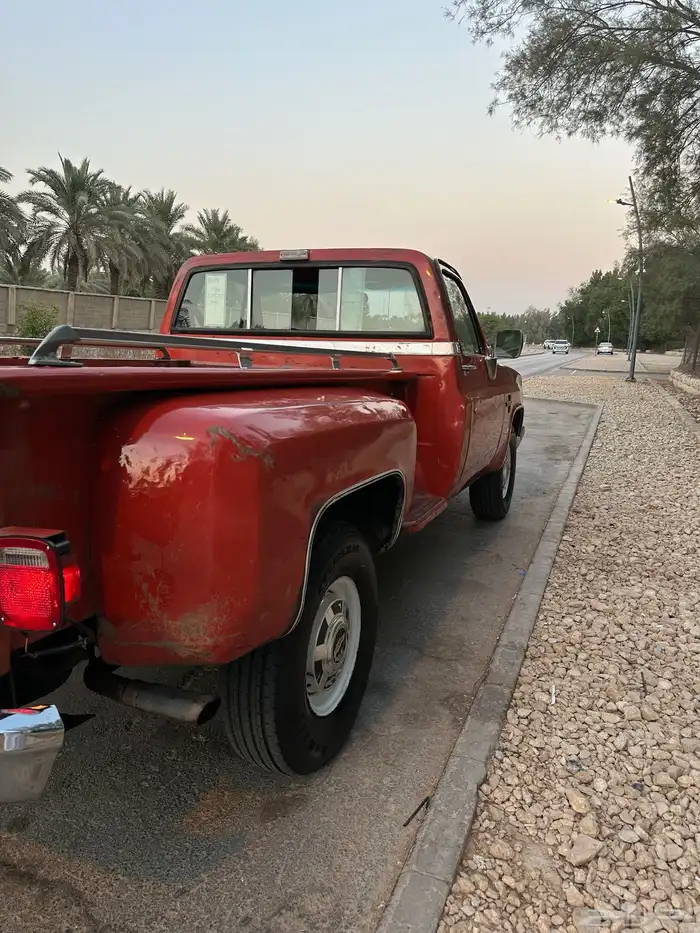 لأهل الصنف ونيت شفر مخزن 454 اساس 19