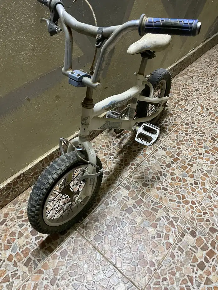 سيكل كوبرا 1