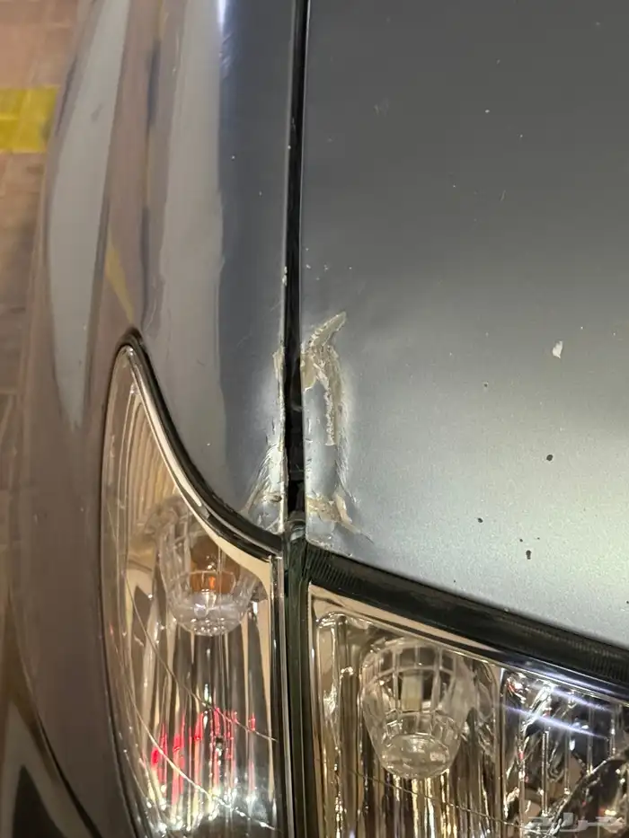 في اكس ار فل كامل رقم 4 موديل 2005 8