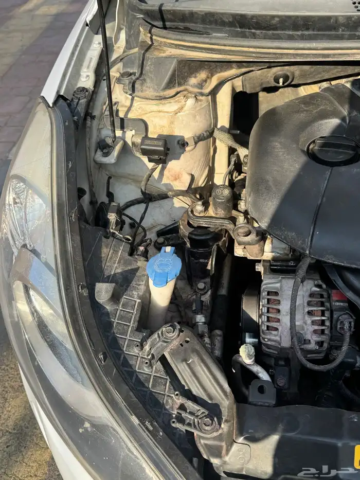 النترا فل كامل 2014 16