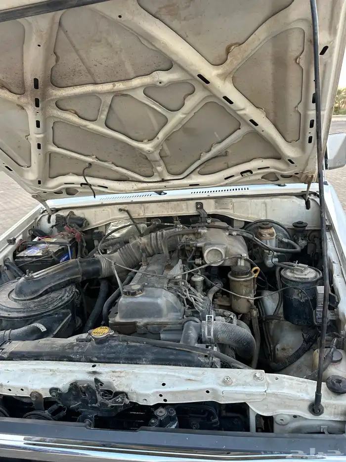 جيب ربع 2003 (شخصي) 19