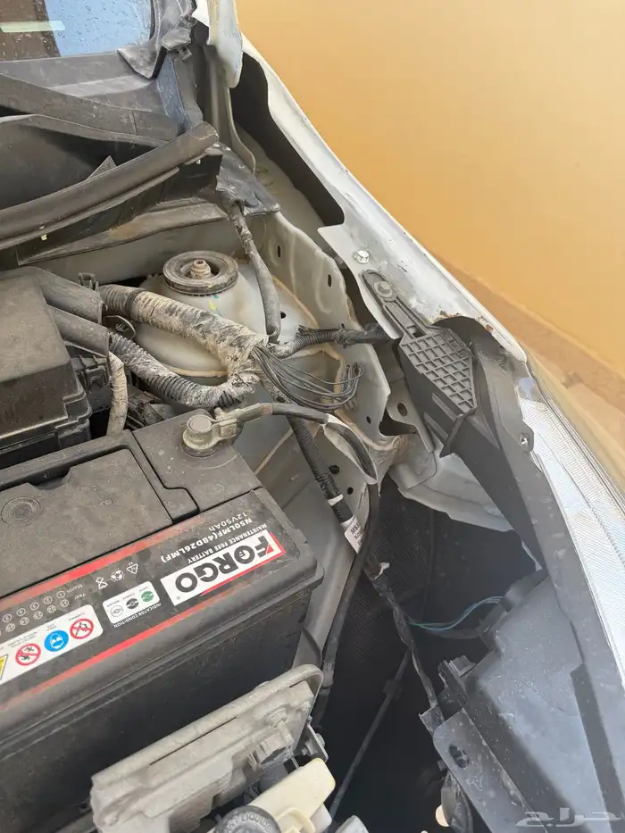 للبيع صني 2020 13