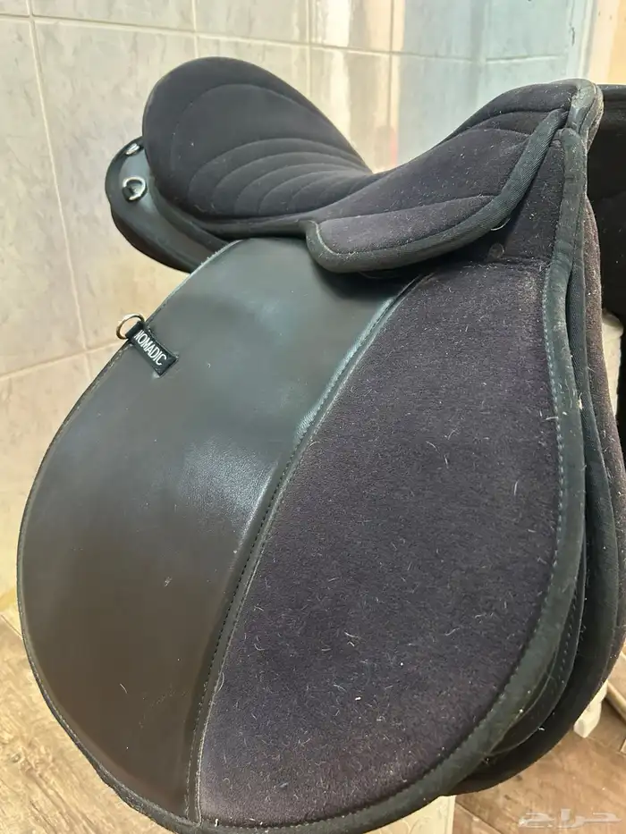 سرج ستيتوس 1