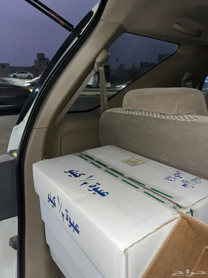 جميع انواع التمور 2