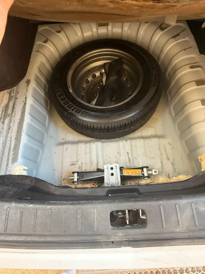 للبيع صني 2020 17