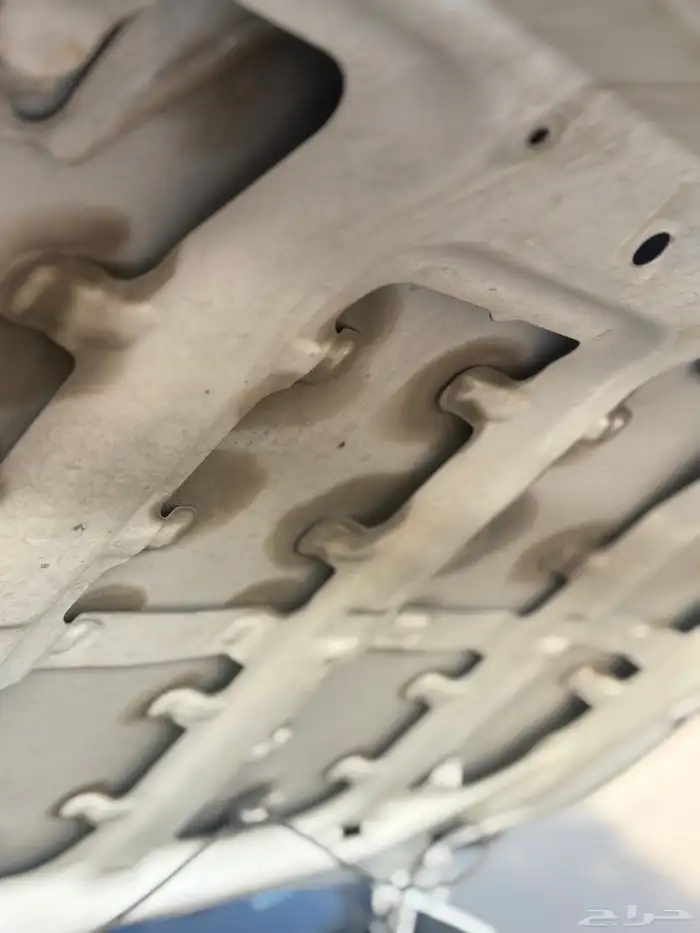 هايلوكس 2018 بلد 14