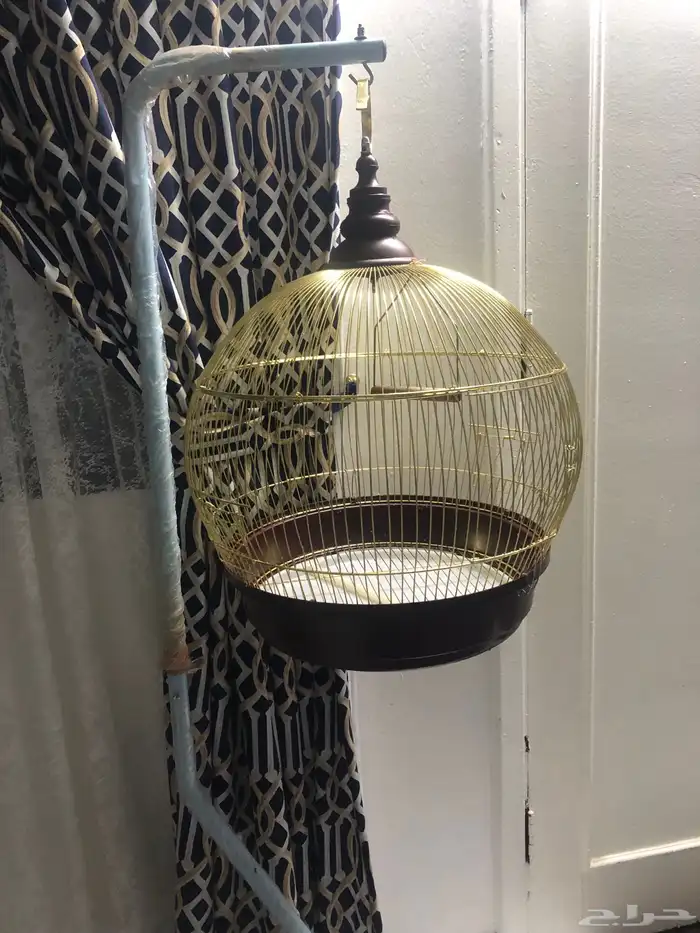 قفص عصافير  أربعة حبة 0