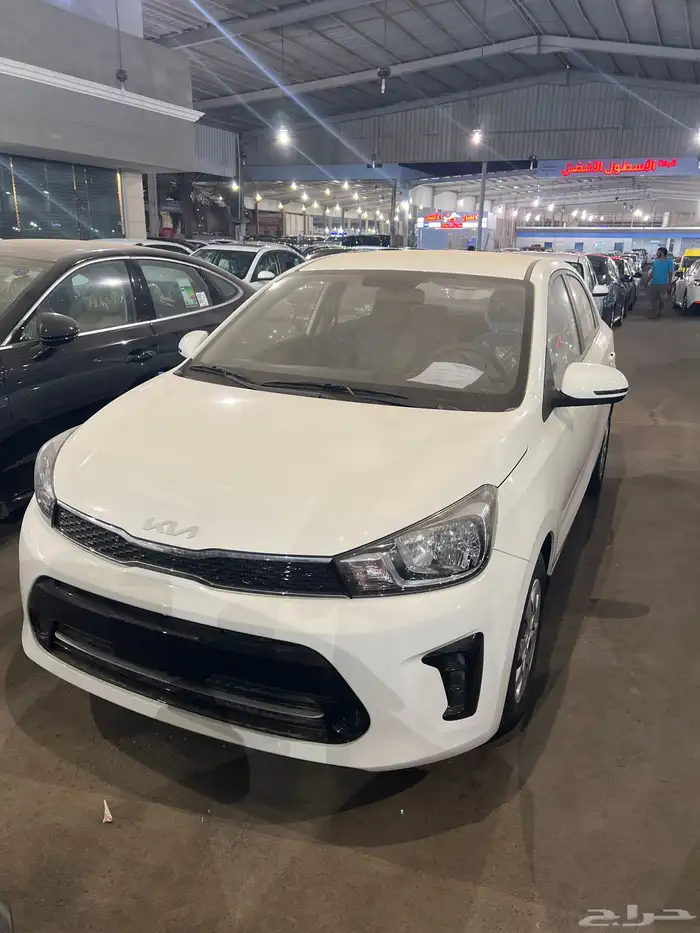 بيجاس 2026 استاندر كاش واقساط ونظام دفعتين50 50 1