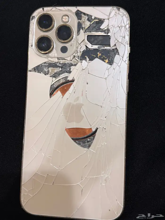 ايفون 12 برو ماكس 1