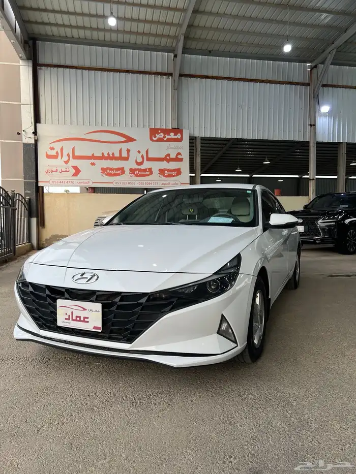 النتراء 2023 0