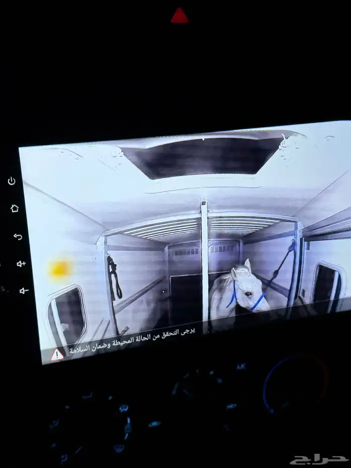 نقل خيل توصيل خيول 1