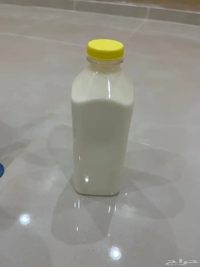 لتيحه ولبن غنم طازج 2